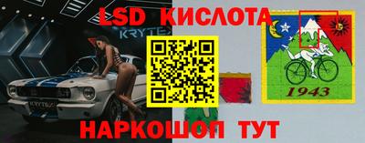 шишки Кингисепп