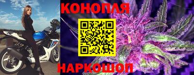 спиды Кимры