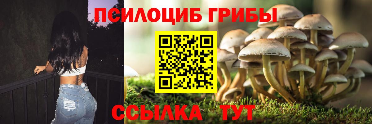 Куйбышев  Псилоцибиновые грибы Psilocybe  Вход с VPN 